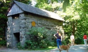 Bärenfang am Waldstein