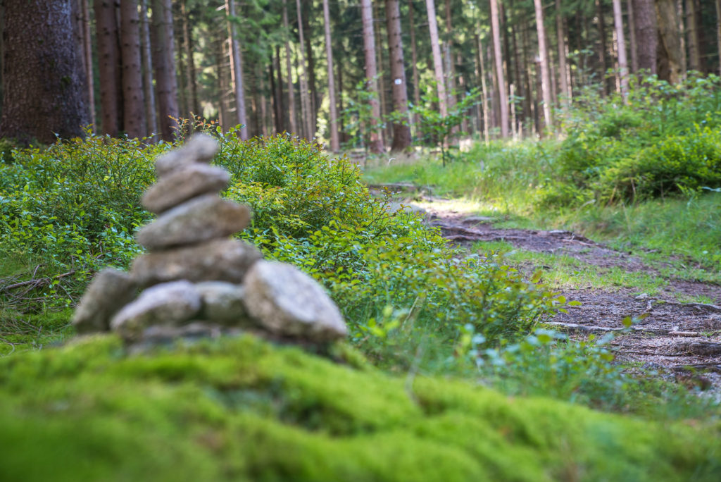 Wandern in Weissenstadt