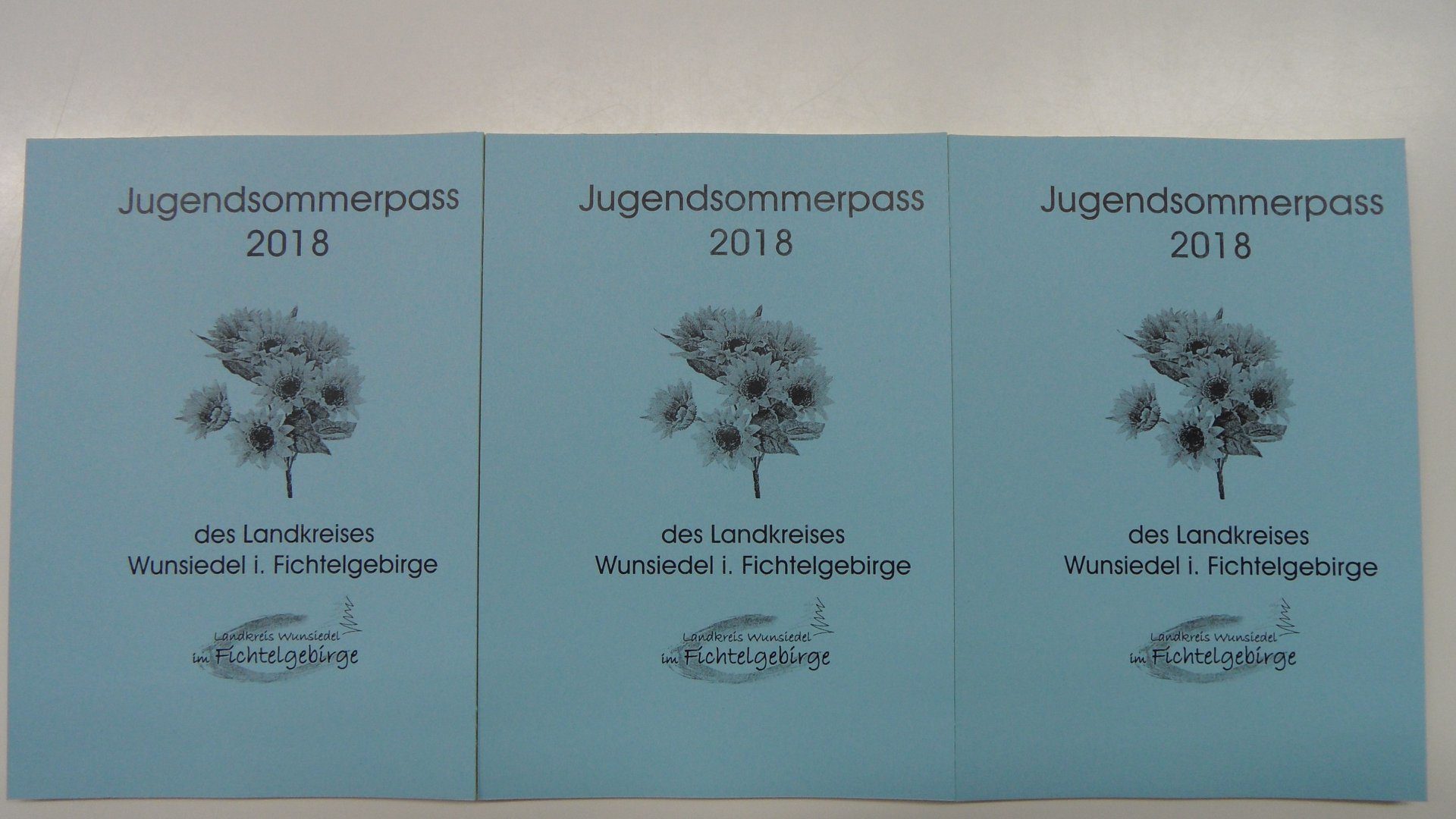 Jugendsommerpass 2018