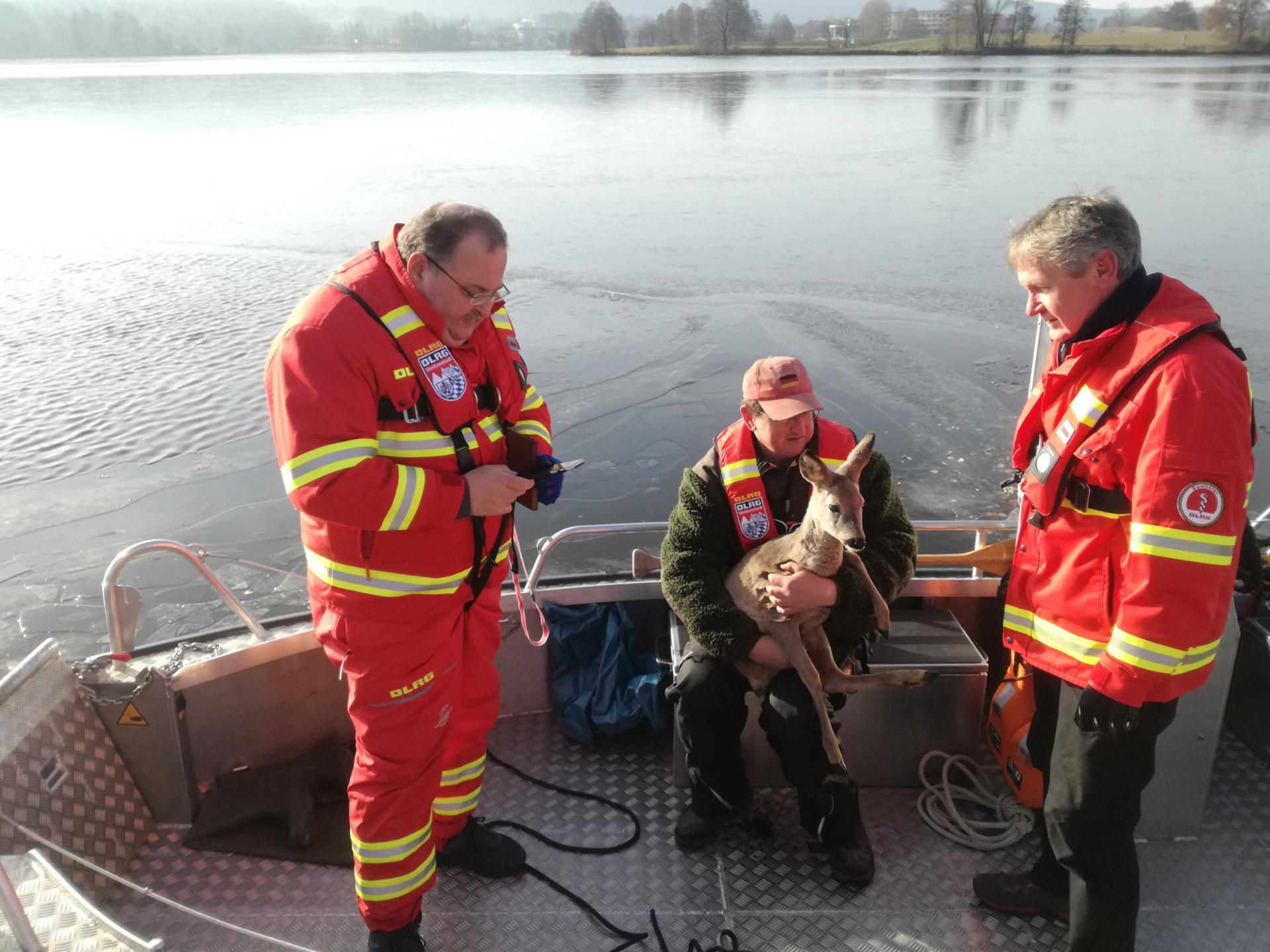 DLRG - Rehrettung