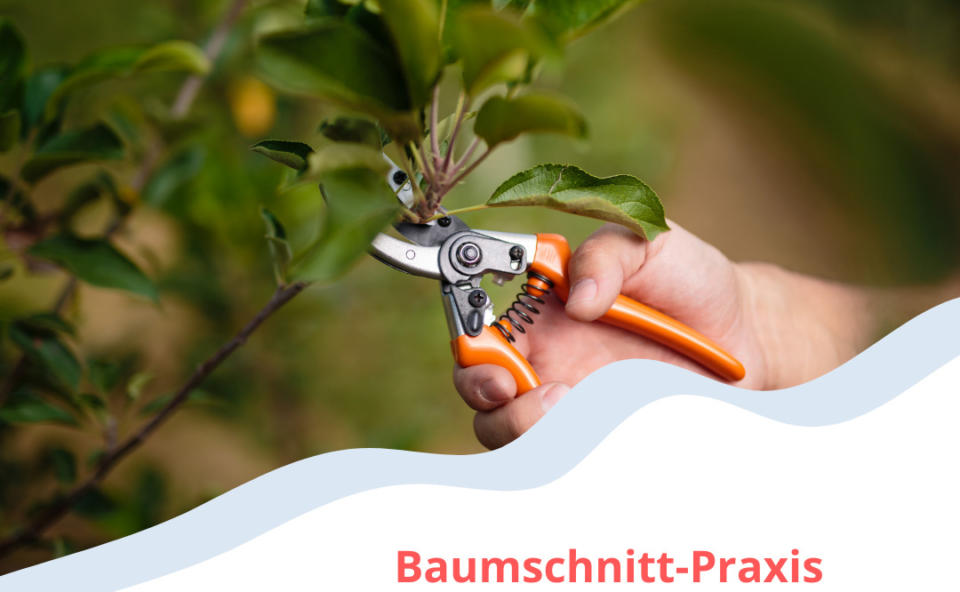 OGV Veranstaltung 26.3.2022