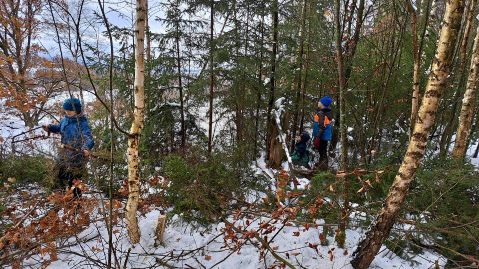 Drei Jungen und Mädchen sägen und Birkenstämme und entsorgen diese.