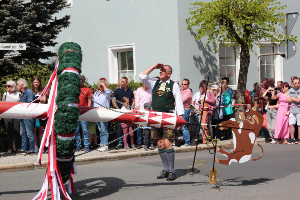 Der Maibaum wird herangetragen.